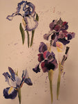 Iris Party - watercolor  by artist Barbara K Marx