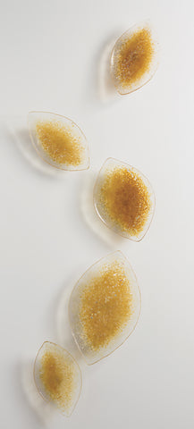 Seeds of Light - kiln-formed glass  by artist Denise Bohart