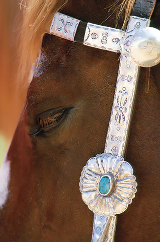 Santa Fe Horse  - Photograph  by artist Greg Nikas