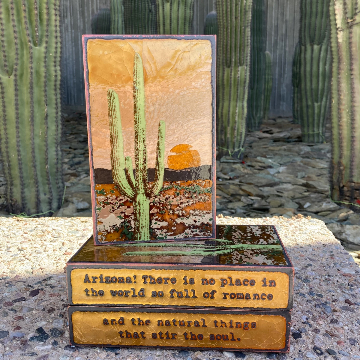 Saguaro_outsdie_edit_1200x1200