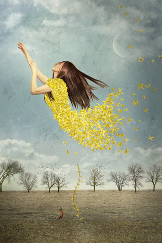 Forsythia Leviosa! - Photo Collage on Watercolor Paper Photography by artist Elisabeth Ladwig