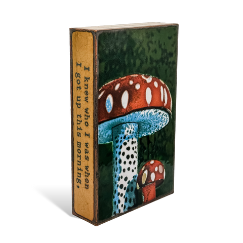 Houston Llew - Spiritiles - "276 Mushroom"