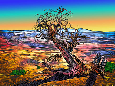 Bristlecone Pine - Giclee - Digital Art on Metal - Limited Edition  by artist Wil Adams