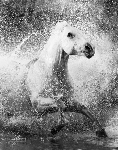 Sue Brown - "Racing The Waves"