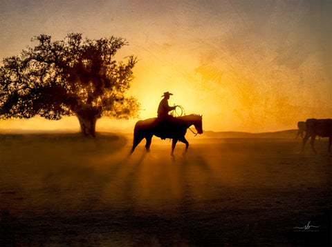 Sue Brown - "Trail Dust"