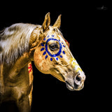 artboost-offering-image:101_primary_1756066628_46eb560649e13b3d.jpg