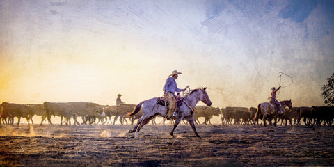 Sue Brown - "Pushing The Herd"