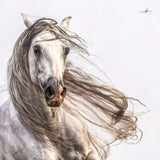artboost-offering-image:101_primary_1756067561_7fb8d634fcf3b8b0.jpg