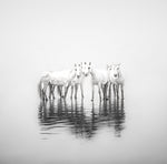 Sue Brown - "Sea Spirits"