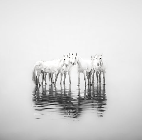 Sue Brown - "Sea Spirits"