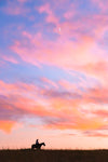 Sue Brown - "Cotton Candy Skies"