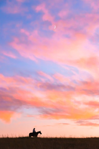 Sue Brown - "Cotton Candy Skies"