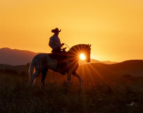 Sue Brown - "Vaquero"