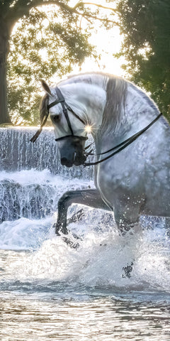 Sue Brown - "Spirit of the Falls"