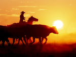 Sue Brown - "Sunset Crossing"