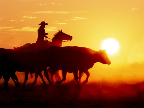 Sue Brown - "Sunset Crossing"