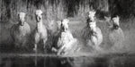 Sue Brown - "9 Abreast"