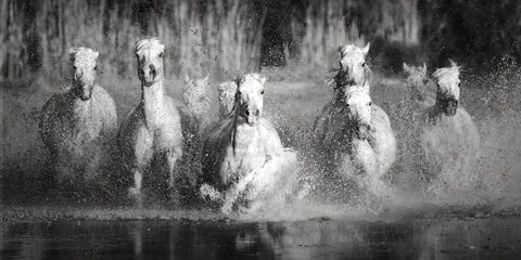 Sue Brown - "9 Abreast"