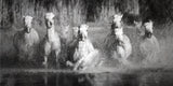 Sue Brown - "9 Abreast"