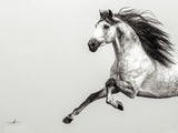 artboost-offering-image:101_primary_1756077161_eb122e40b2e024f2.jpg