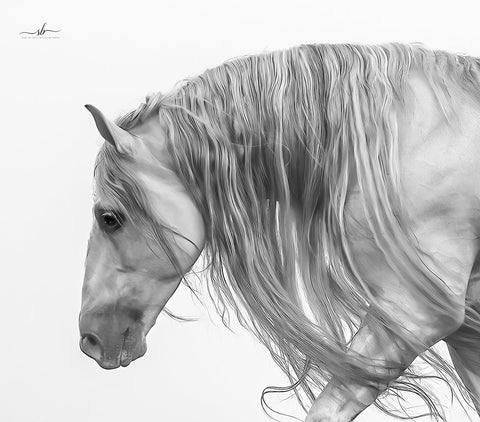 Sue Brown - "The Breath Between Breezes"