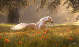 Sue Brown - "Misty Morning In A French Meadow"
