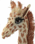 Melinda Fabian - "Sticking My Neck Out!"