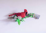 Melinda Fabian - "A Cardinal's Moment of Joy"