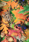 Melinda Fabian - "Autumn Ants"