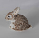 Melinda Fabian - "Baby Bunny"