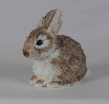 Melinda Fabian - "Baby Bunny"