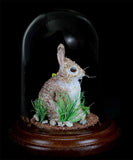 Melinda Fabian - "Wildflower Sitter"