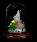 Melinda Fabian - "Wildflower Sitter"
