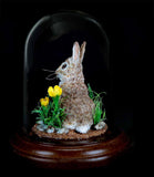 Melinda Fabian - "Wildflower Sitter"