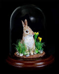 Melinda Fabian - "Wildflower Sitter"