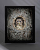 Melinda Fabian - "Nestled Nook"