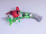 Melinda Fabian - "A Cardinal's Moment of Joy"