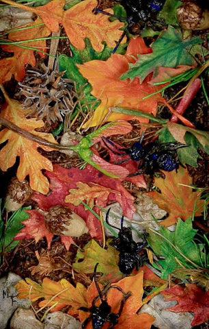 Melinda Fabian - "Autumn Ants"