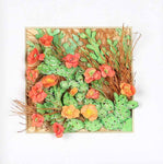 Melinda Fabian - "Desert Beauty"
