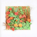 Melinda Fabian - "Desert Beauty"