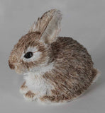 Melinda Fabian - "Baby Bunny"
