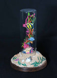 Melinda Fabian - "Baby Sea Turtle Adventures"