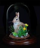 Melinda Fabian - "Wildflower Sitter"