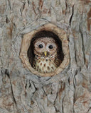 Melinda Fabian - "Nestled Nook"