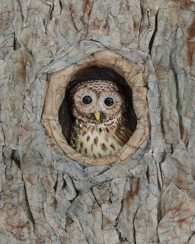 Melinda Fabian - "Nestled Nook"