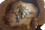 Shelly Cox-Vandermeulen - "Bronc Rider / Moon Bow (Two Sided -Double Painting)"
