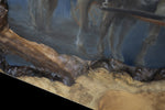 Shelly Cox-Vandermeulen - "Out Of The Storm"