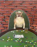 Mark Shevetone - "Who Invited The Bulldog?"