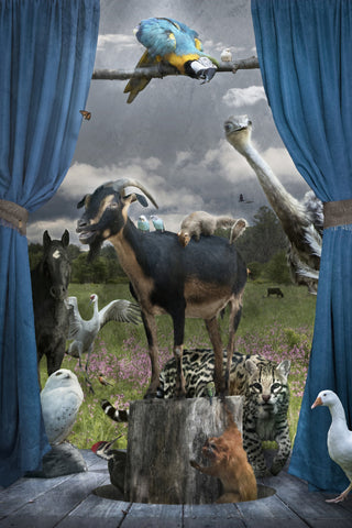 The Greatest Show on Earth - Photo Collage Print (Unframed) Photography by artist Elisabeth Ladwig