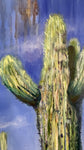 Liesel Lund - "Saguaro Sentry"